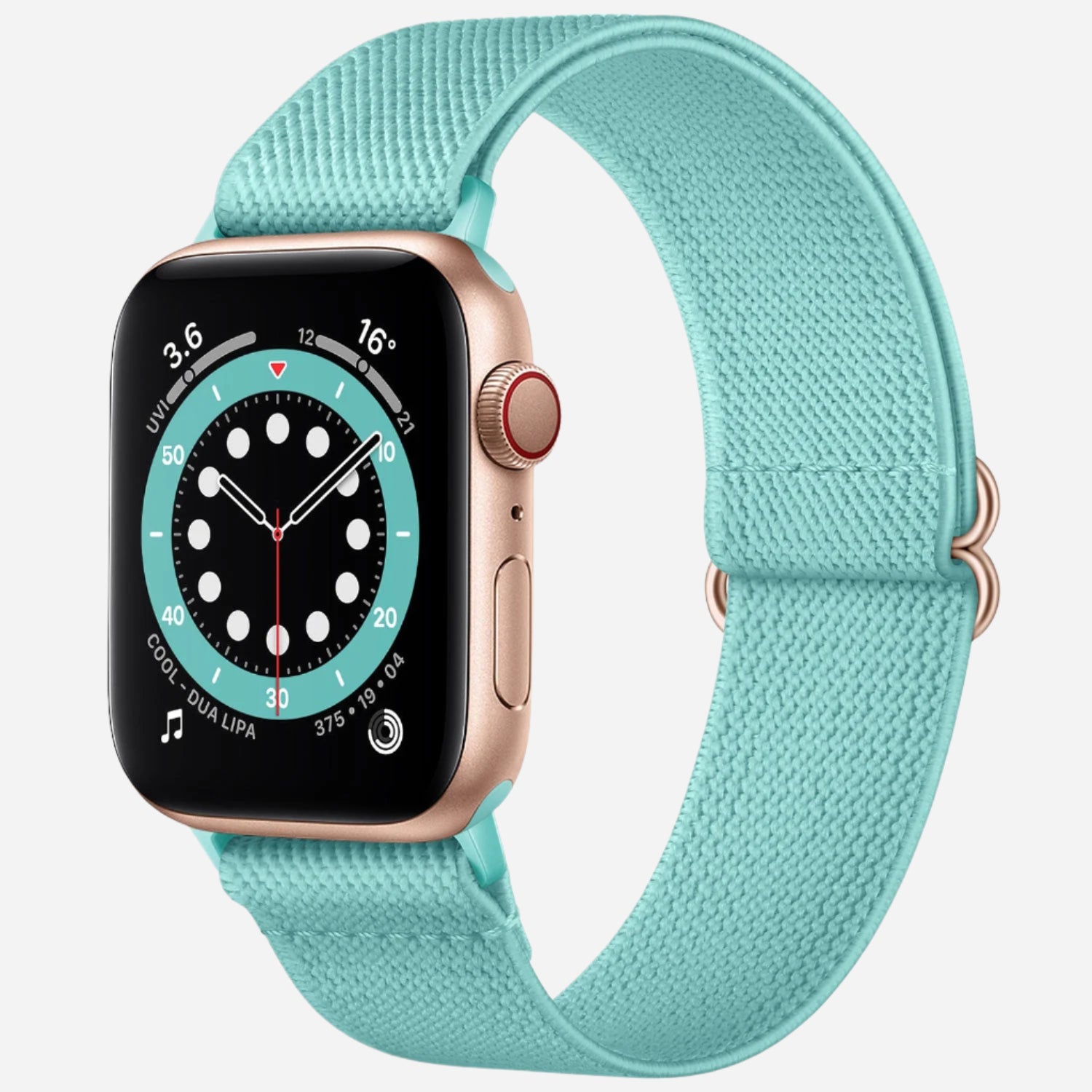 MillesTECband Apple Watch Nylon Loop Armband