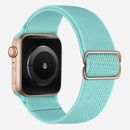 MillesTECband Apple Watch Nylon Loop Armband