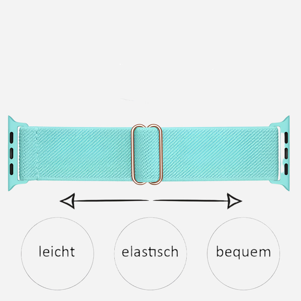 MillesTECband Apple Watch Nylon Loop Armband